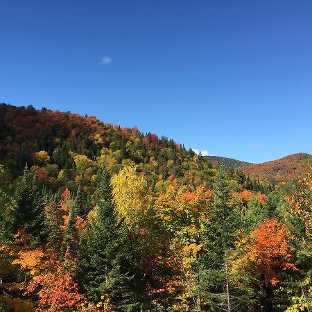 Loft Nature Laurentides Val-des-Lacs Esterno foto