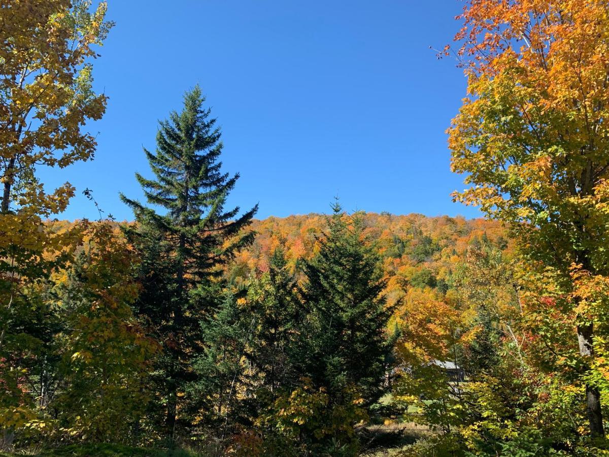 Loft Nature Laurentides Val-des-Lacs Esterno foto