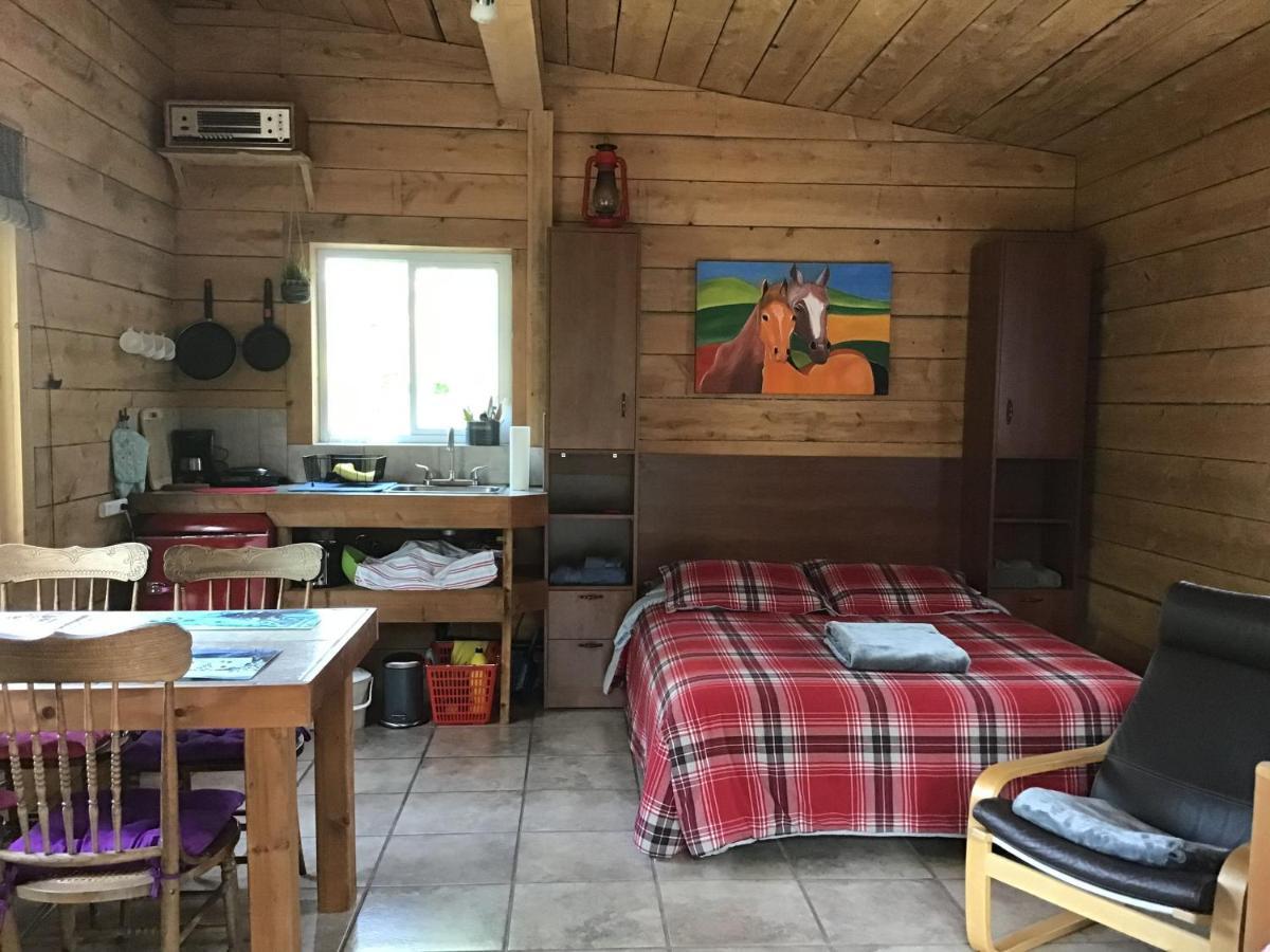 Loft Nature Laurentides Val-des-Lacs Esterno foto