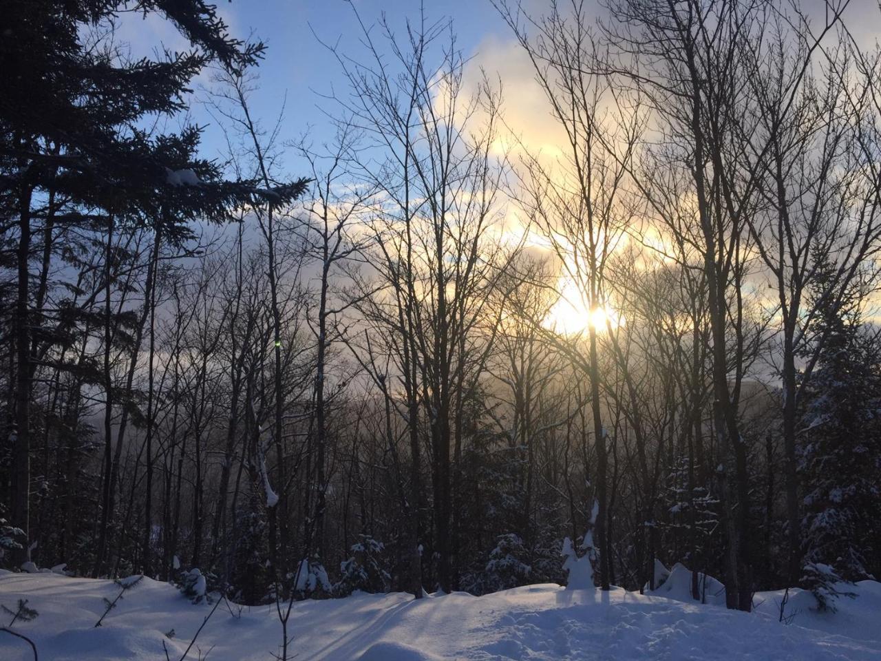 Loft Nature Laurentides Val-des-Lacs Esterno foto