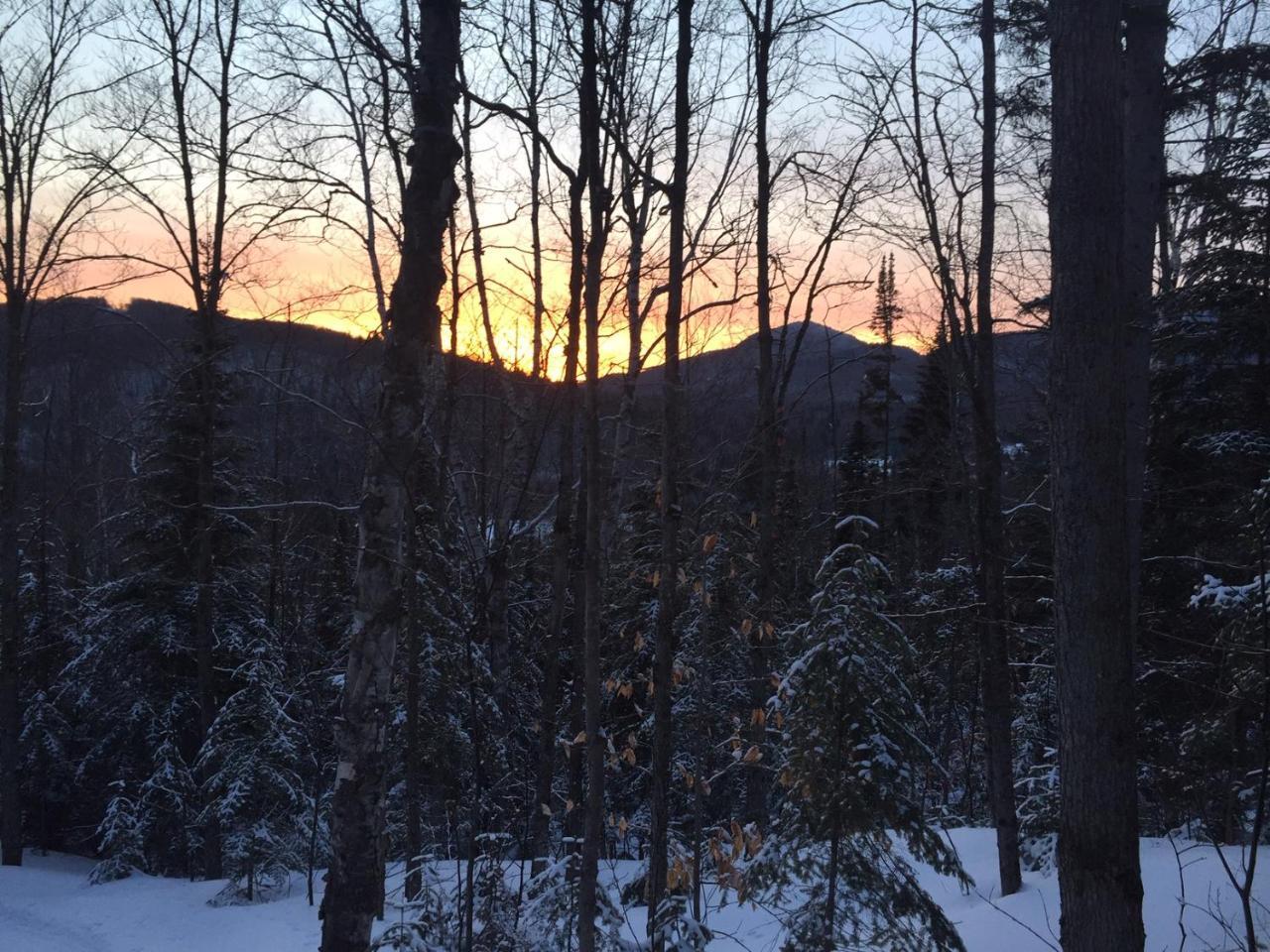 Loft Nature Laurentides Val-des-Lacs Esterno foto